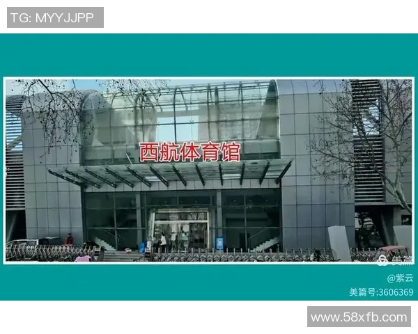 西安羽毛球队中路突破策略解析与未来发展展望 西安羽毛球队中路突破策略解析与未来发展展望